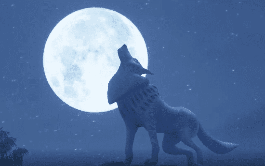 Wolf Story Animation